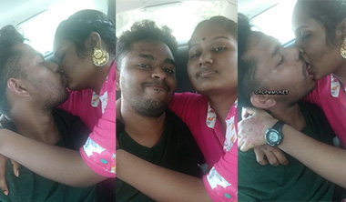 Tamil Mallu Couples Romance In Car Secret Sex
